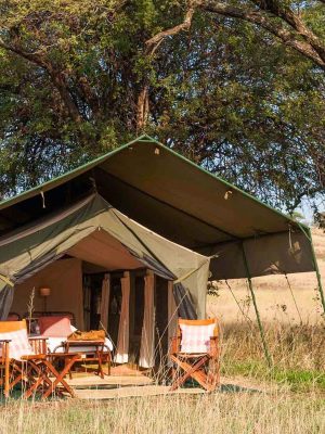 Serengeti-Safari-Camp-tent Serengeti-Safari-Camp-tent